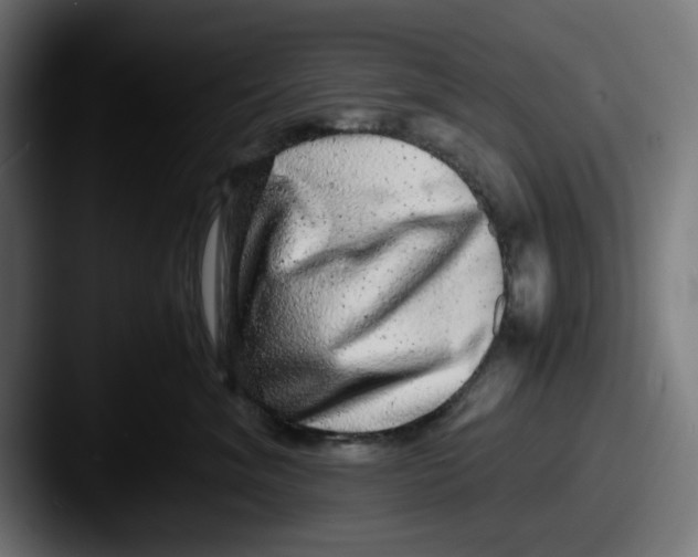 X0000087600620200705181238