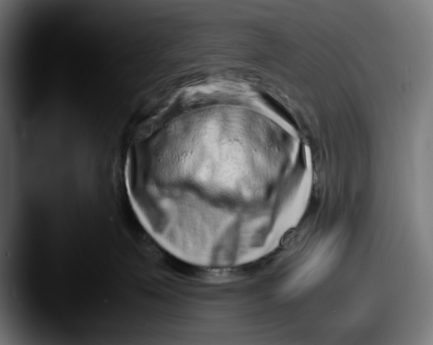X0000087600623200705181238