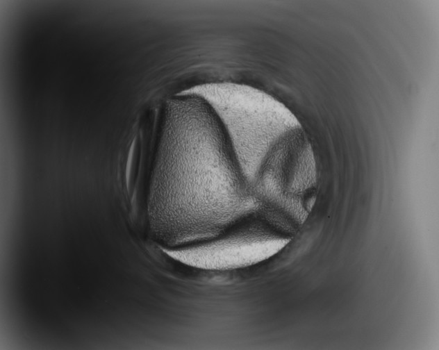 X0000087600624200705181238