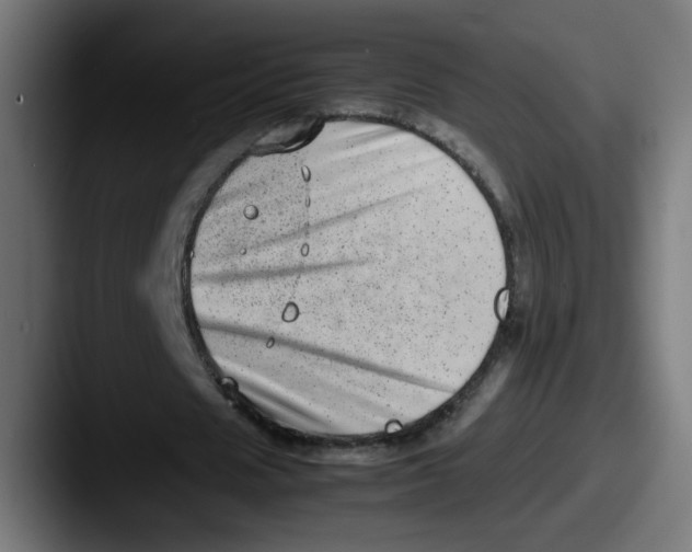 X0000087600625200705181238