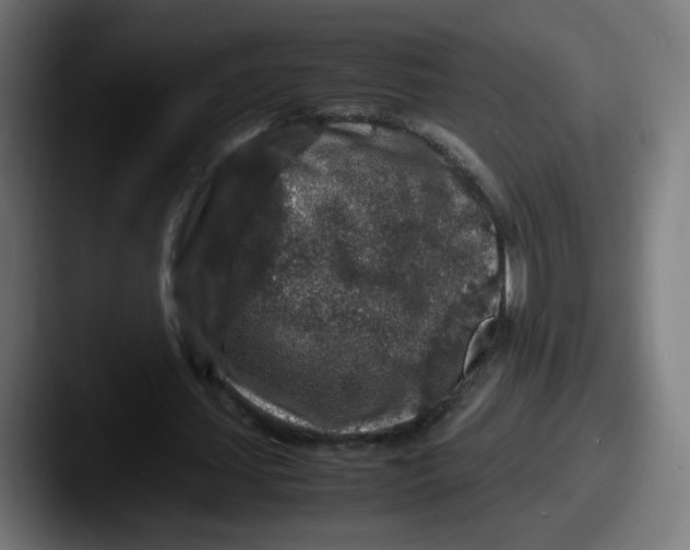 X0000087600627200705181238