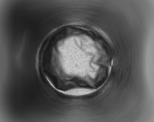 X0000087600628200705181238