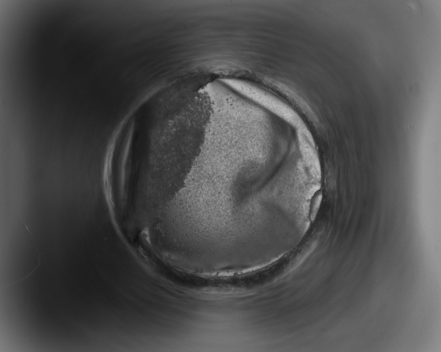 X0000087600630200705181238