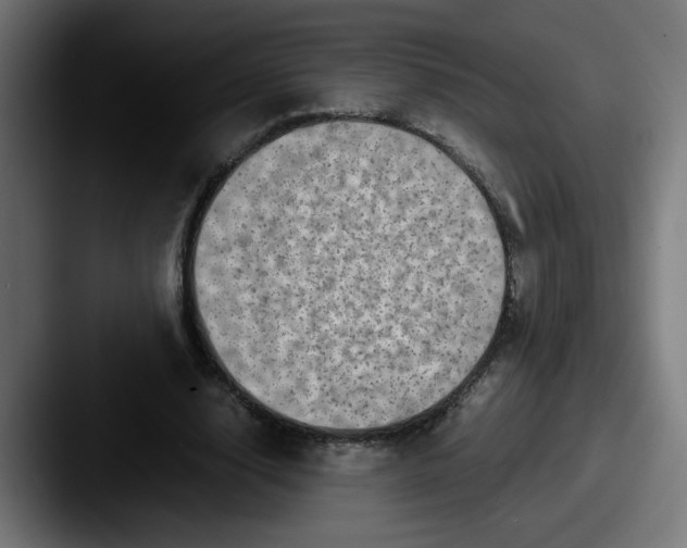 X0000087600632200705181238