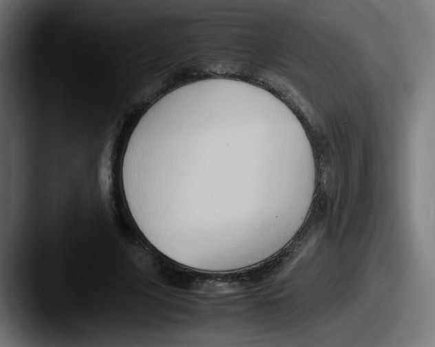 X0000087600635200705181238