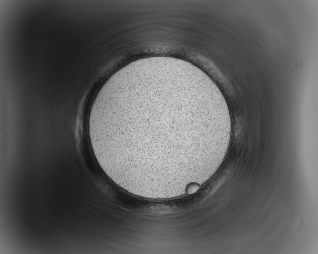 X0000087600636200705181238