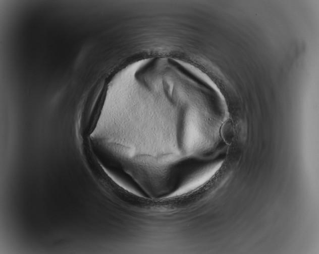 X0000087600638200705181238