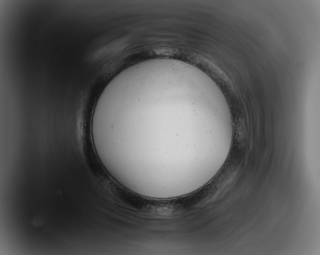 X0000087600639200705181238