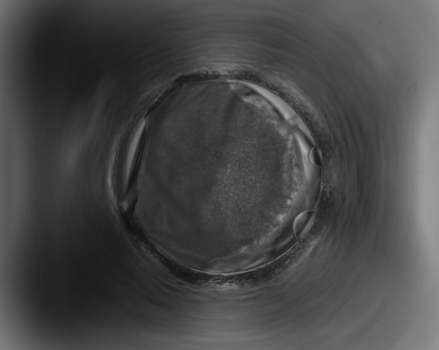 X0000087600640200705181238