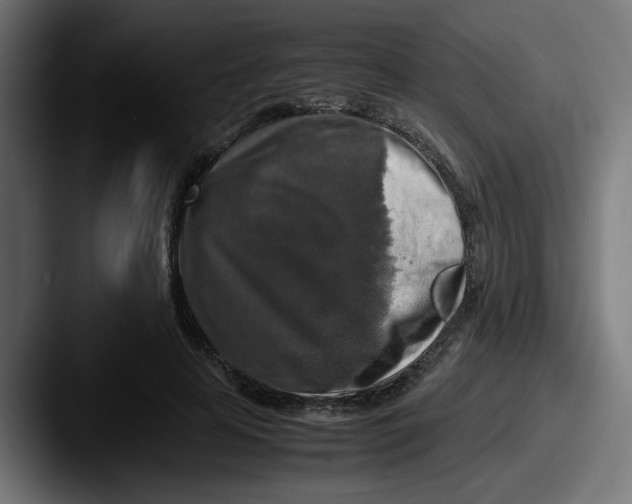 X0000087600641200705181238