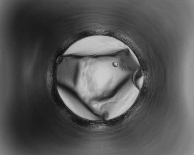 X0000087600642200705181238