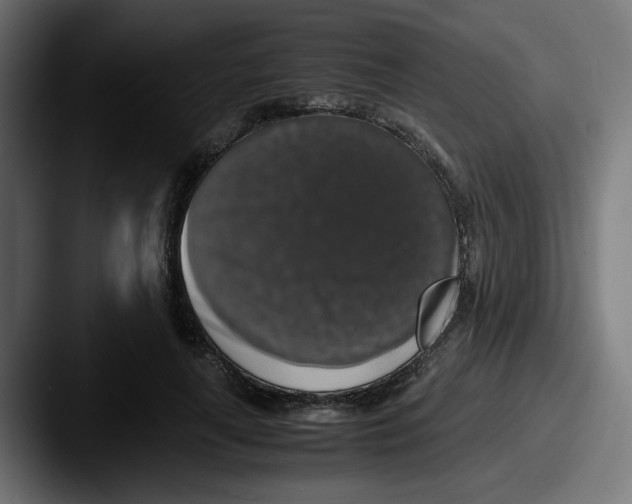 X0000087600643200705181238