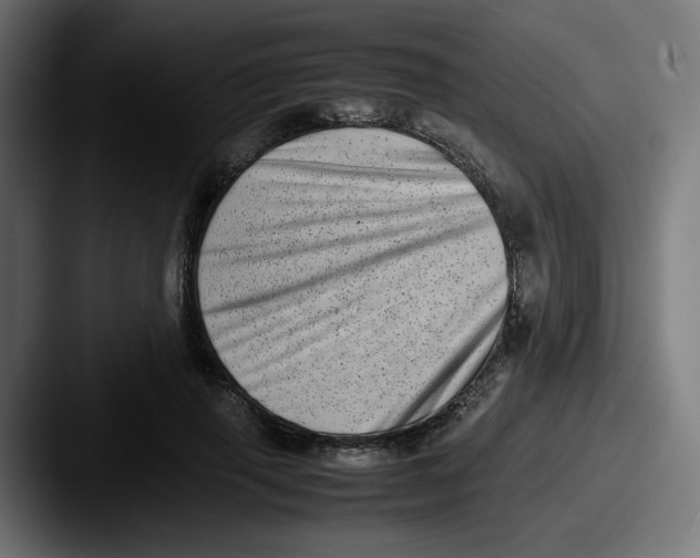 X0000087600645200705181238