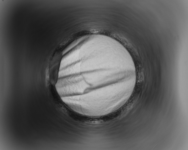 X0000087600646200705181238