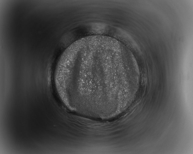 X0000087600647200705181238