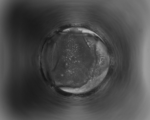 X0000087600648200705181238