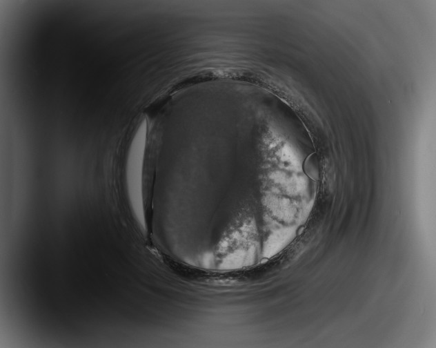 X0000087600650200705181238