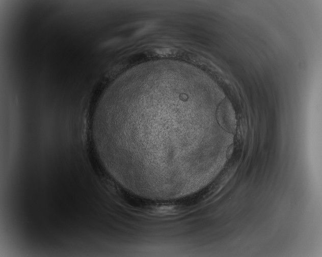 X0000087600651200705181238
