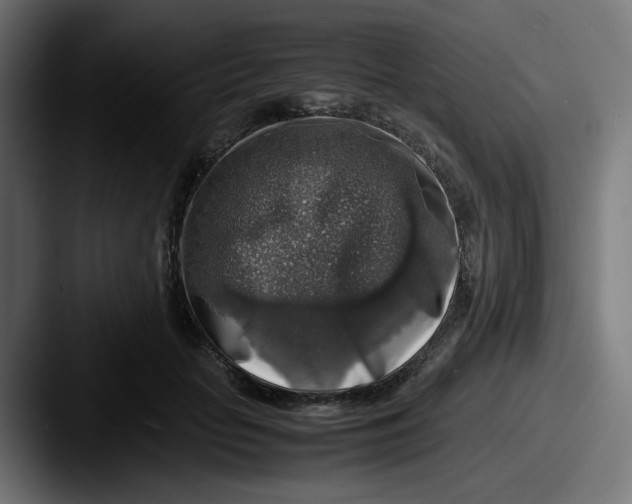 X0000087600653200705181238