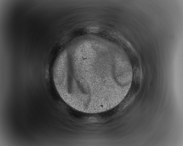 X0000087600655200705181238