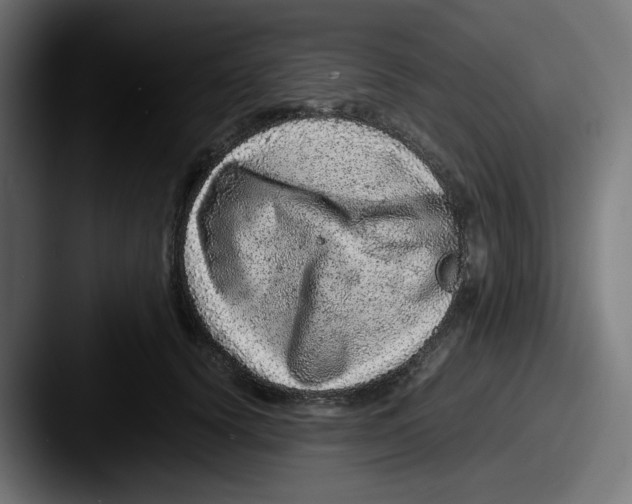 X0000087600656200705181238