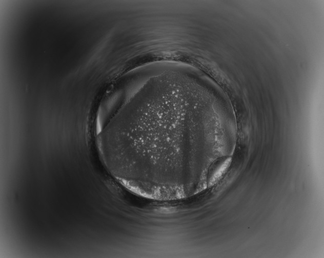 X0000087600658200705181238