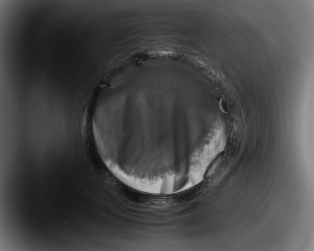 X0000087600659200705181238