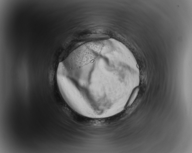 X0000087600660200705181238