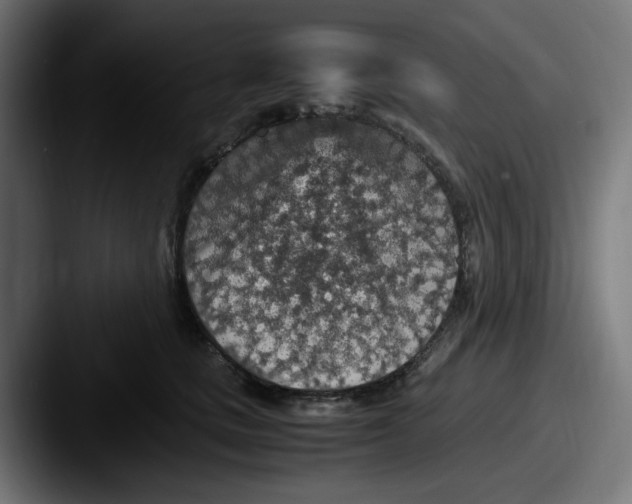 X0000087600661200705181238