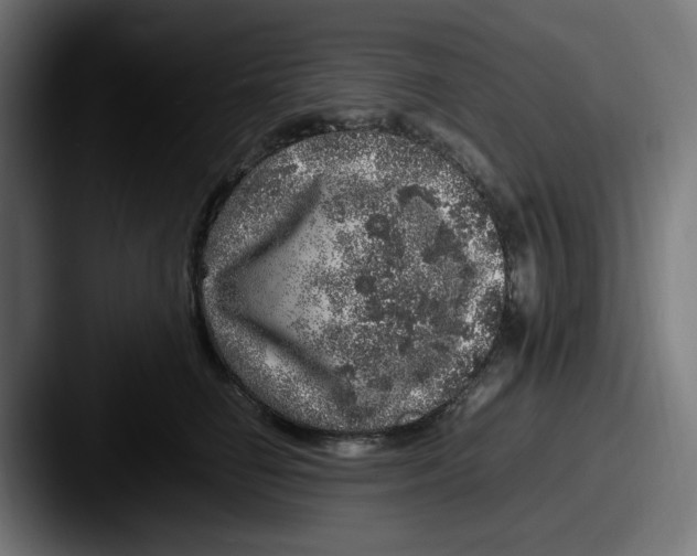 X0000087600662200705181238