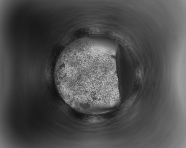 X0000087600663200705181238