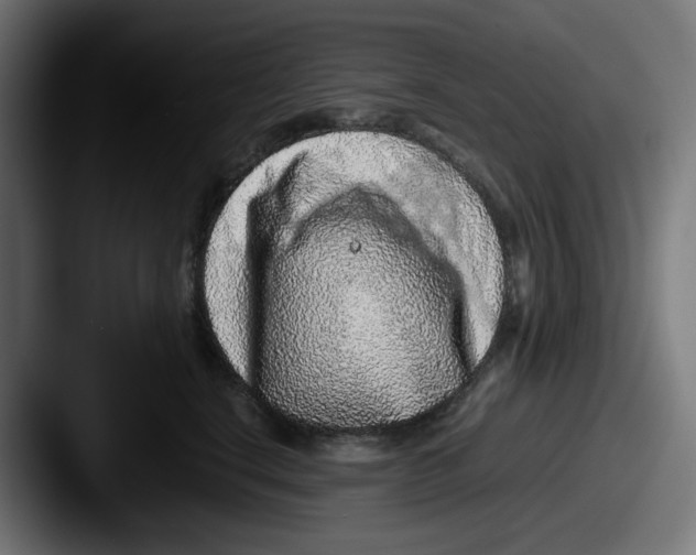 X0000087600664200705181238