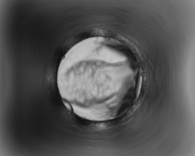 X0000087600665200705181238