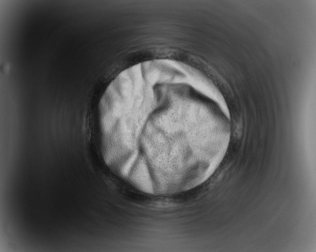 X0000087600666200705181238
