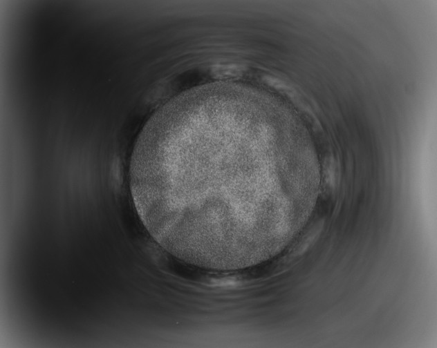 X0000087600667200705181238