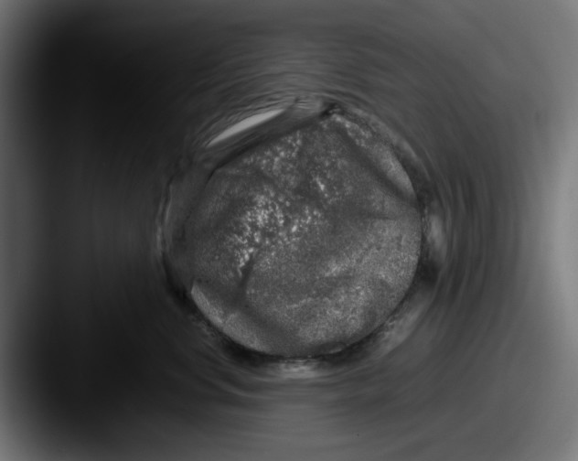 X0000087600668200705181238