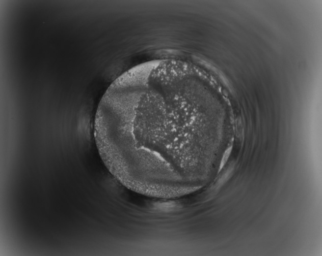 X0000087600669200705181238