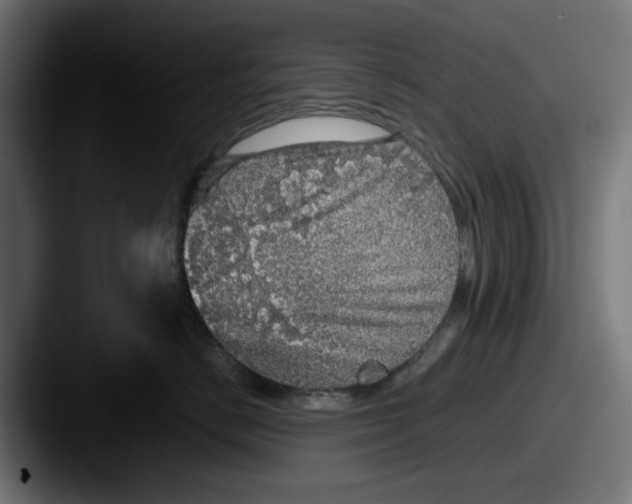 X0000087600670200705181238