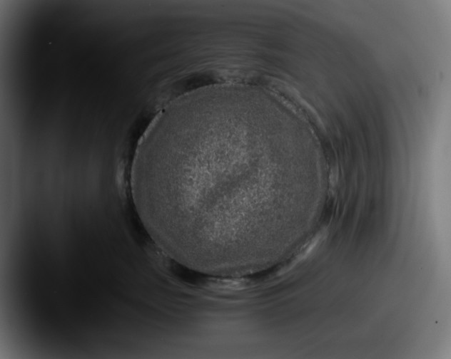 X0000087600671200705181238