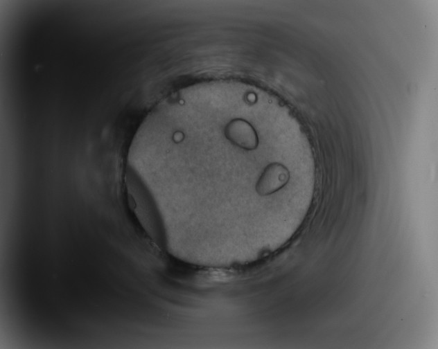 X0000087600672200705181238