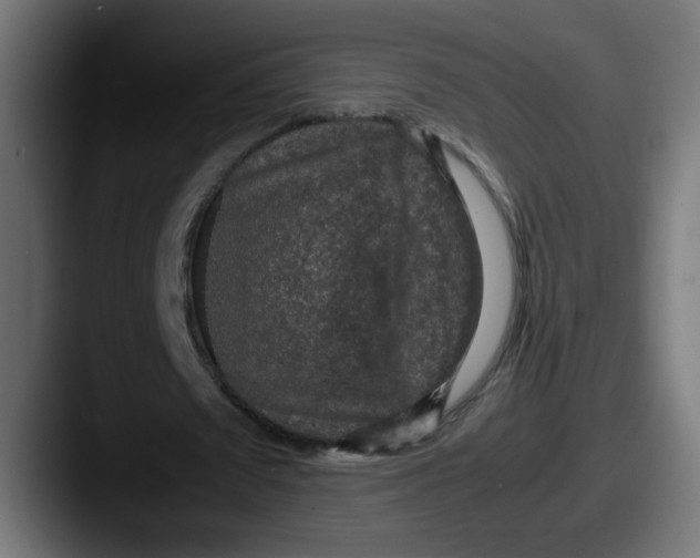 X0000087600673200705181238