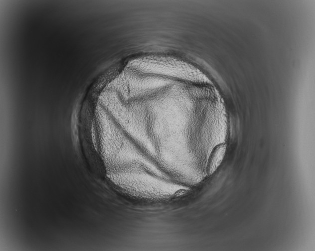 X0000087600675200705181238