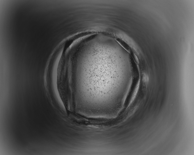 X0000087600676200705181238