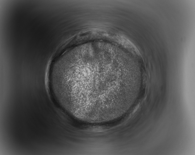 X0000087600677200705181238