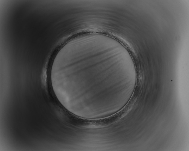 X0000087600678200705181238
