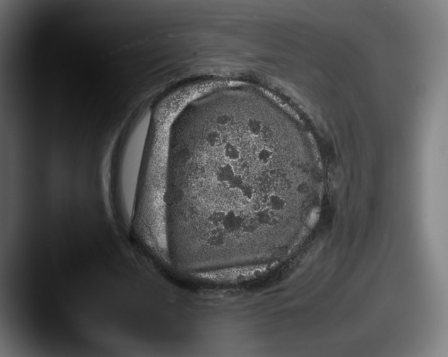X0000087600679200705181238