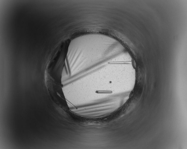 X0000087600681200705181237