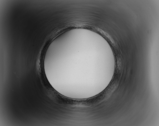 X0000087600682200705181237