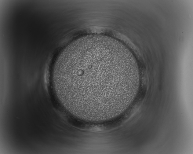 X0000087600683200705181237