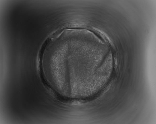 X0000087600684200705181237